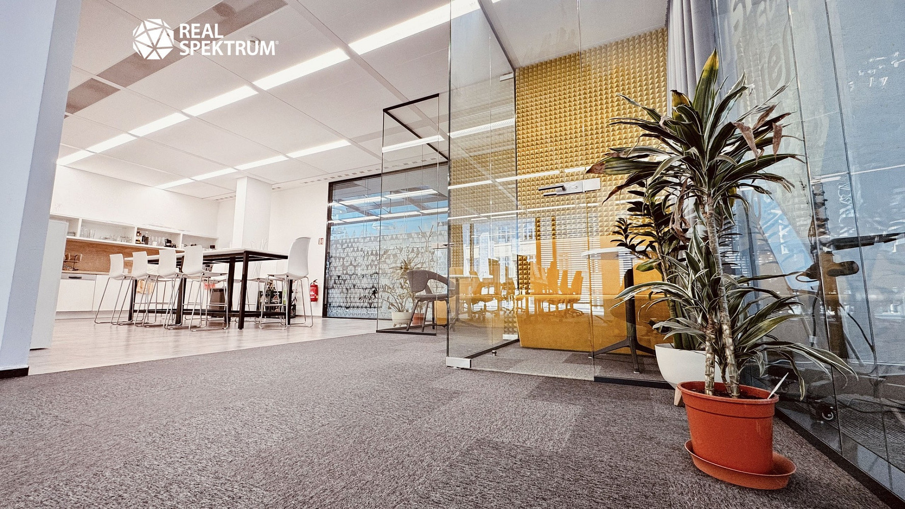 Pronájem kanceláře 257 m² – fotografie 2