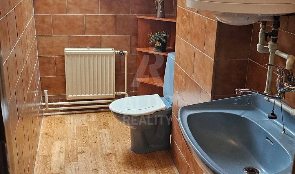 Prodej domu 130 m² s pozemkem 1 020 m², Ločenice – náhled fotky 19