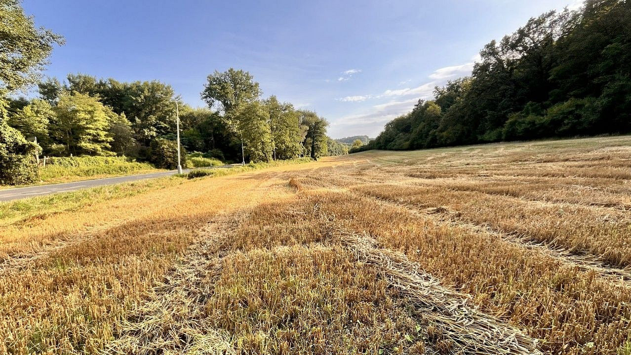 Prodej stavebního pozemku 14 370 m² – fotografie 4