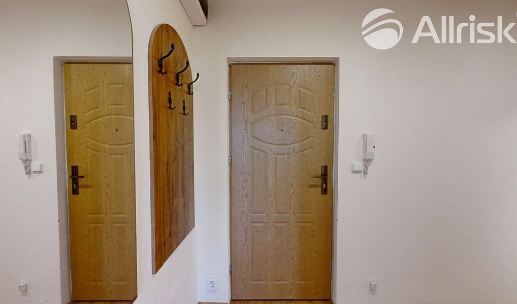 Pronájem bytu 1+1 42 m², Frýdek-Místek – náhled fotky 8