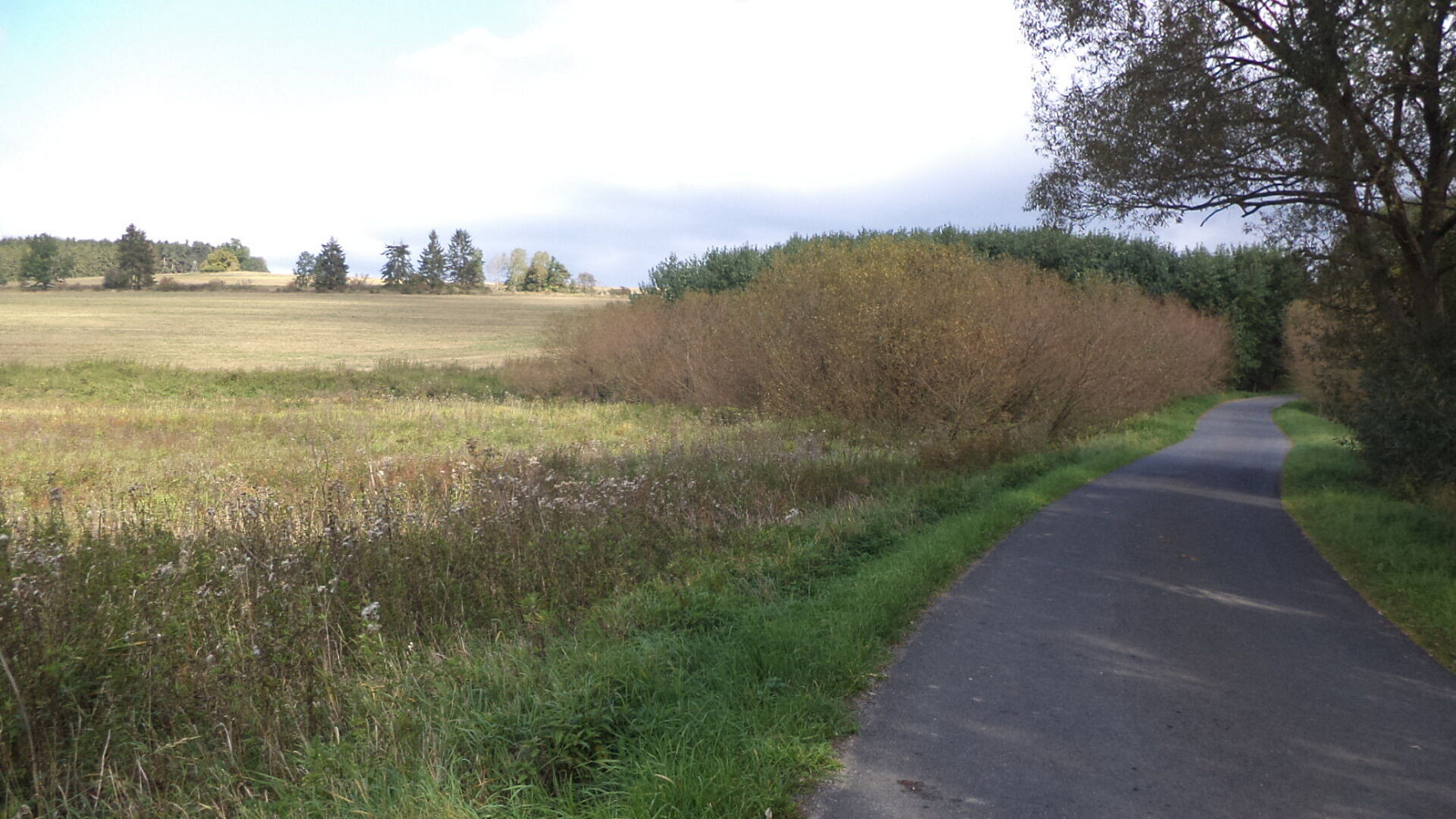 Prodej pole 925 m²