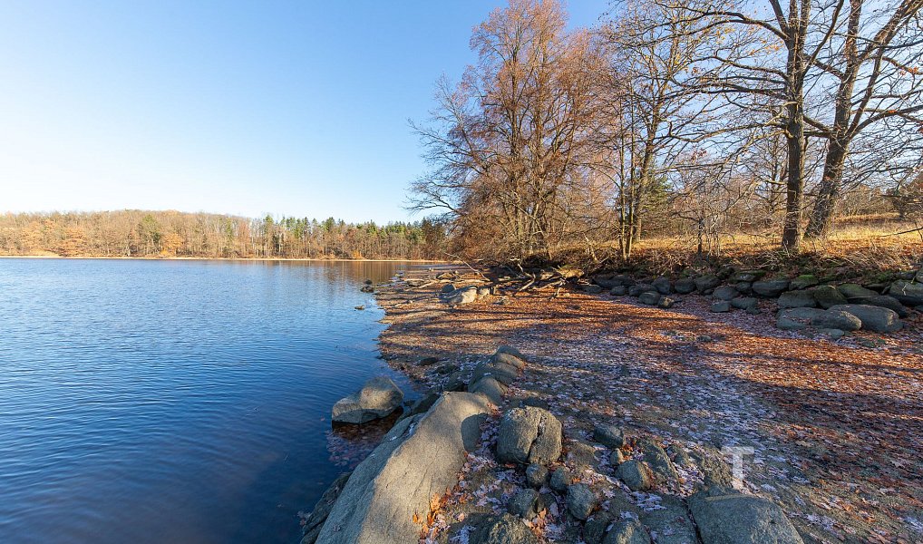Prodej stavebního pozemku 133 994 m², Vrchotovy Janovice – náhled fotky 14
