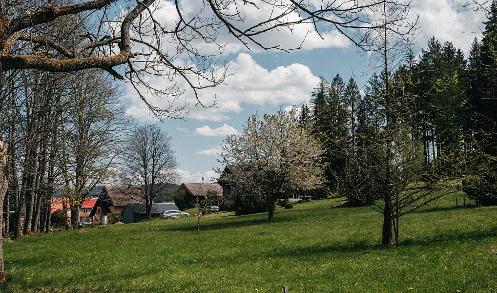 Prodej stavebního pozemku 2 273 m², Přední Výtoň – náhled fotky 7