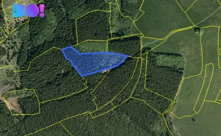 Prodej lesa 6 240 m², Huslenky, okres Vsetín