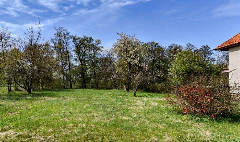 Prodej stavebního pozemku 1 132 m², Skuhrov – náhled fotky 5