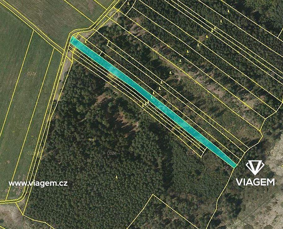Prodej lesa 3 880 m² – fotografie 2