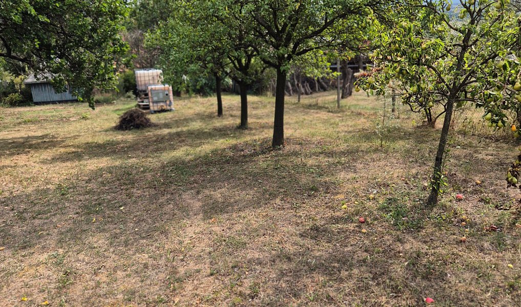 Prodej domu 70 m² s pozemkem 1 811 m², Bukovany – náhled fotky 28