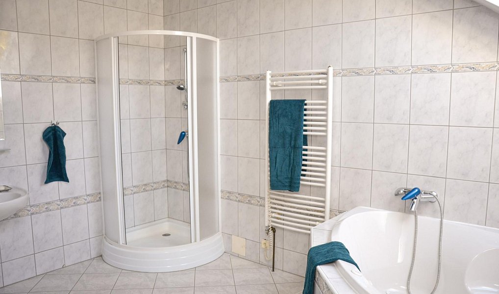 Prodej domu 392 m² s pozemkem 3 190 m², Olšany – náhled fotky 18