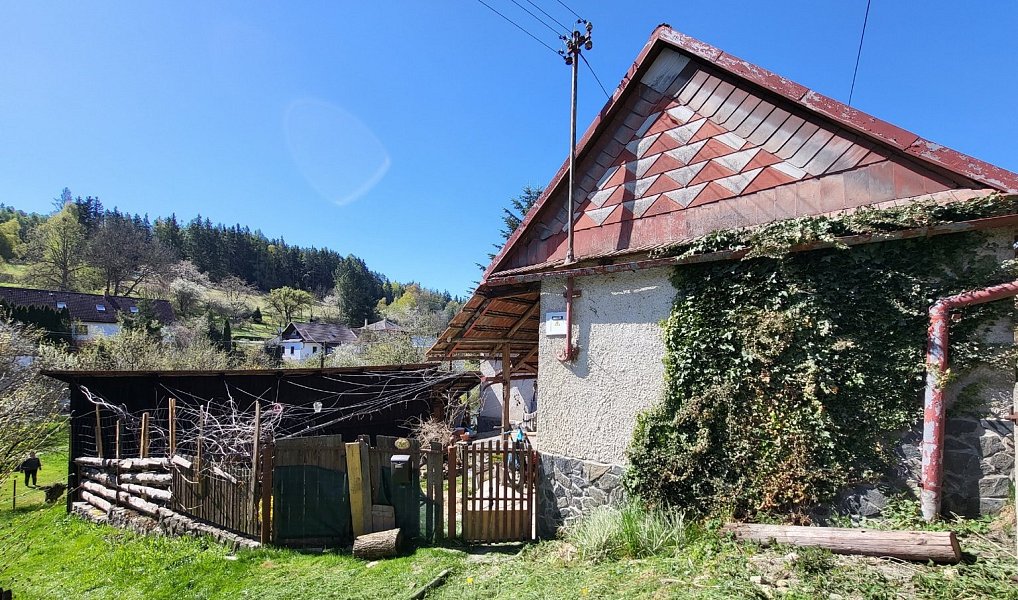 Prodej chaty/chalupy 100 m² s pozemkem 760 m², Svojanov – náhled fotky 20