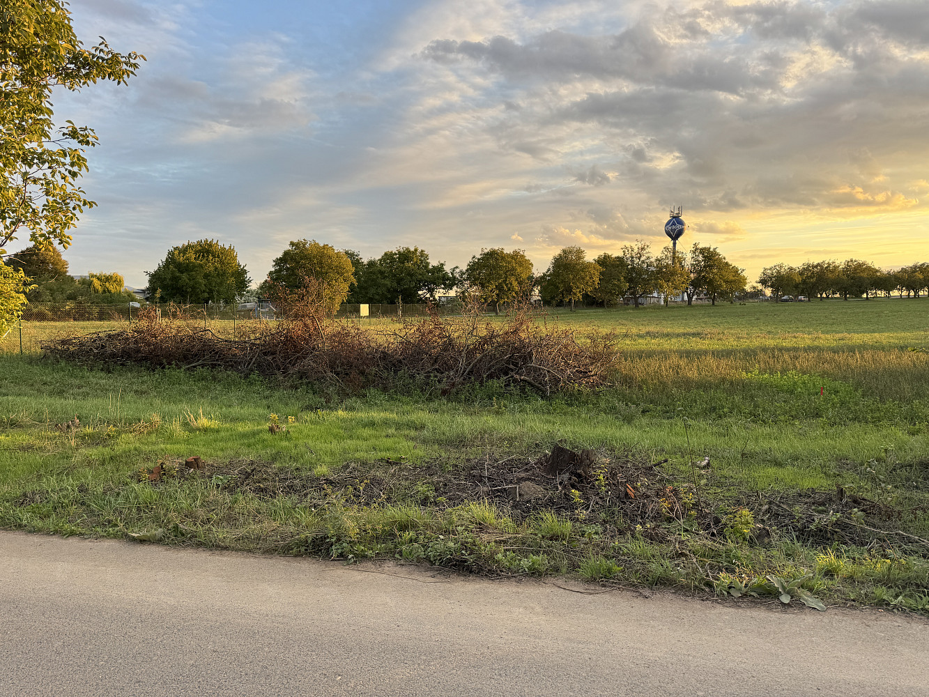 Prodej stavebního pozemku 4 598 m² – fotografie 5
