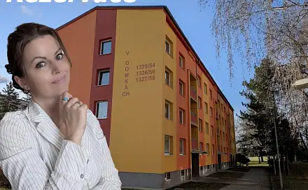 Prodej bytu 2+1 60 m², V Domkách, Duchcov, okres Teplice