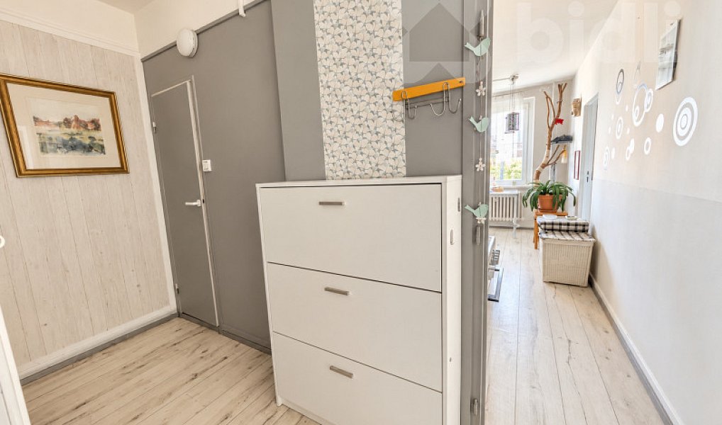 Prodej bytu 1+1 49 m², Šternberk – náhled fotky 8