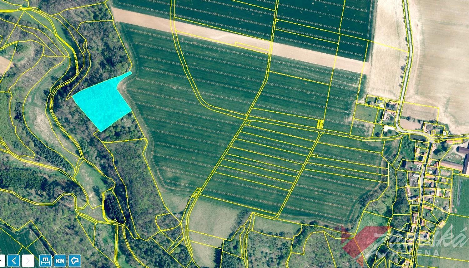 Prodej lesa 11 767 m² – fotografie 2