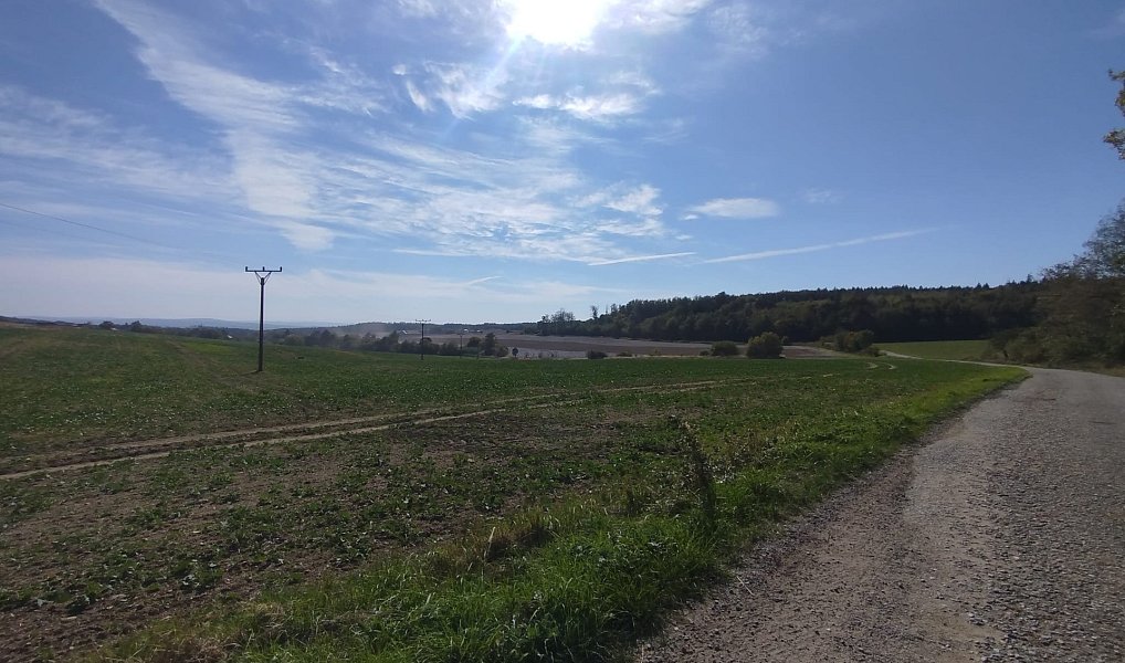 Prodej pole 56 184 m², Ježkovice – náhled fotky 20