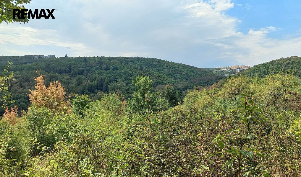 Prodej zahrady 1 744 m², Brno – náhled fotky 9
