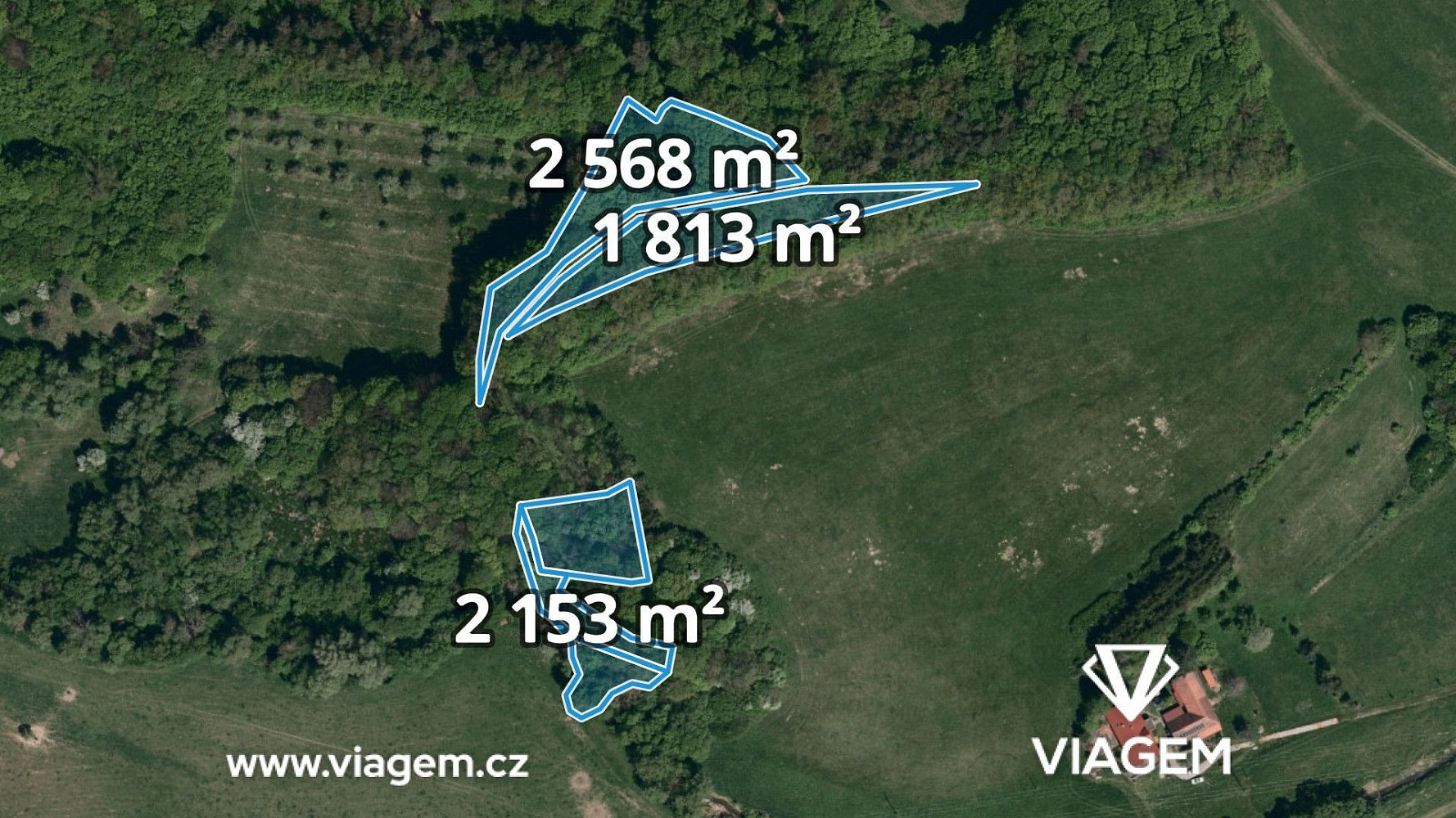 Prodej lesa 2 999 m²