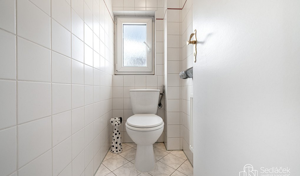 Prodej domu 260 m² s pozemkem 129 m², Svatava – náhled fotky 11