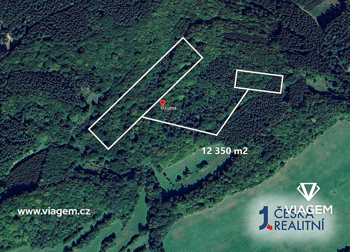 Prodej lesa 3 087 m²
