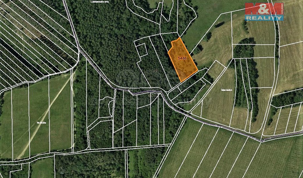 Prodej louky 4 646 m², Borotín – náhled fotky 4