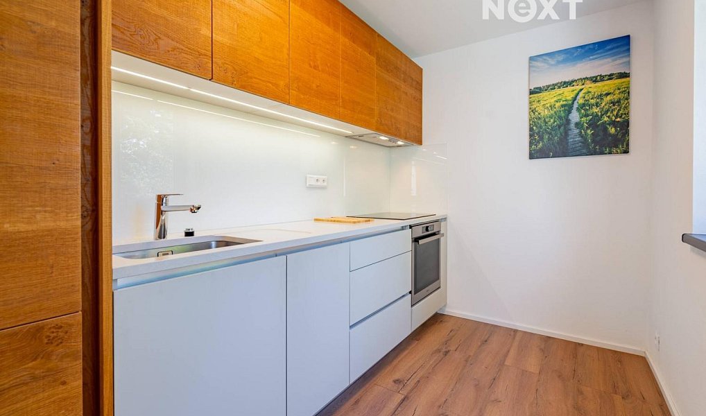 Prodej bytu 3+kk 70 m², Horní Planá – náhled fotky 6