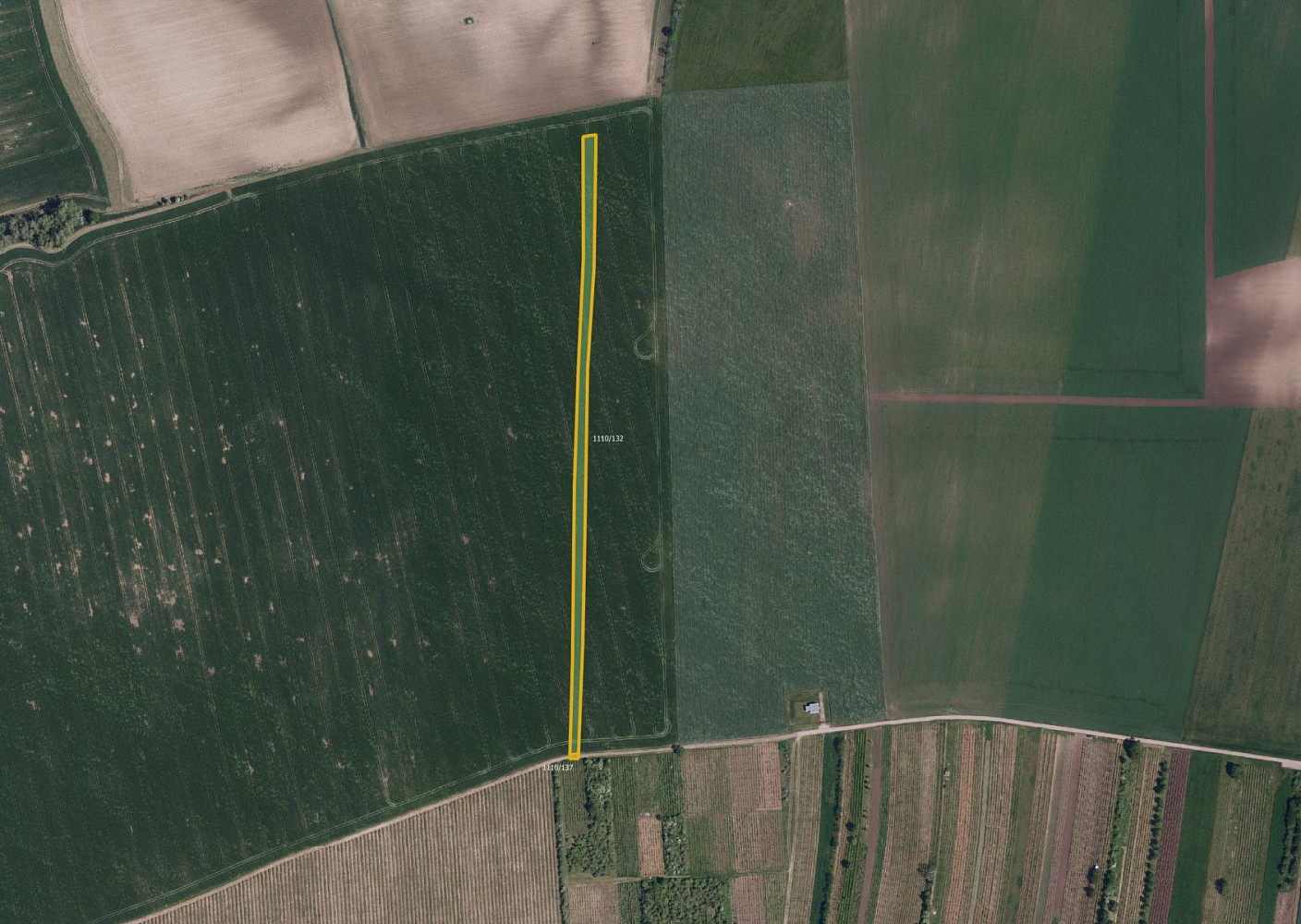 Prodej pole 6 586 m² – fotografie 2