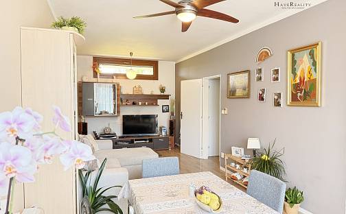 Pronájem bytu 2+1 65 m², Na Kněžině, Týnec nad Sázavou - Brodce, okres Benešov