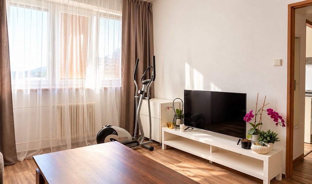 Pronájem bytu 1+1 39 m², Letovice – náhled fotky 3