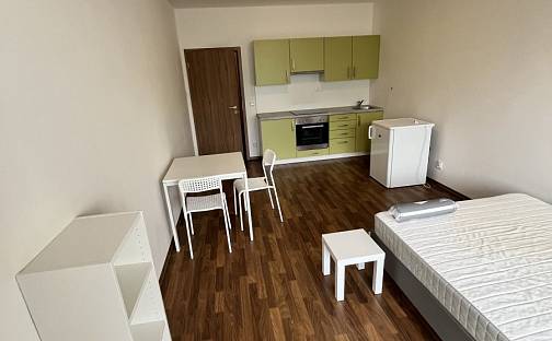 Pronájem bytu 1+kk 32 m², Jeremiášova, Olomouc - Povel
