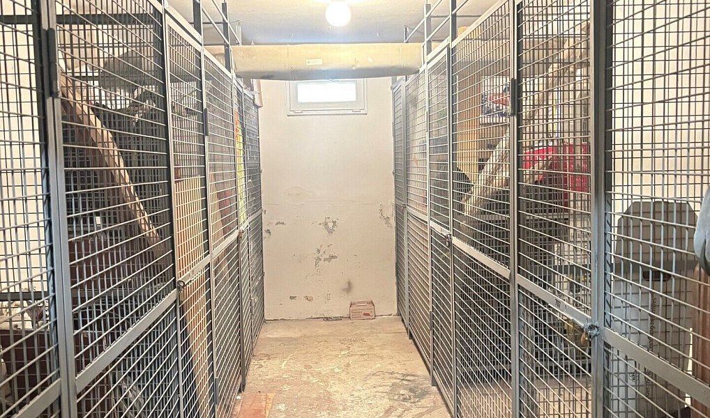 Prodej bytu 2+1 60 m², Sokolov – náhled fotky 13