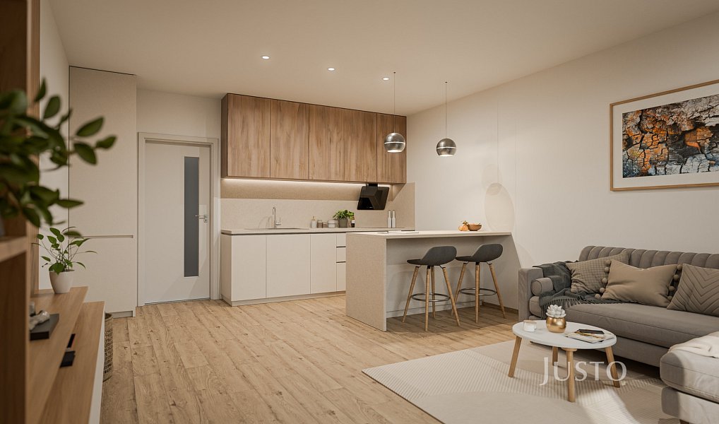 Prodej bytu 1+kk 40 m², České Budějovice – náhled fotky 2