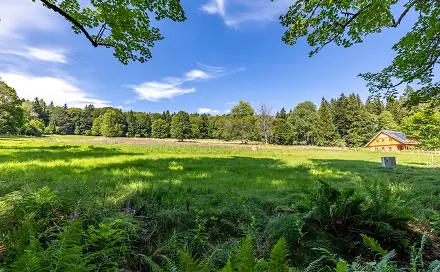 Prodej stavebního pozemku 1 816 m², Stožec, okres Prachatice