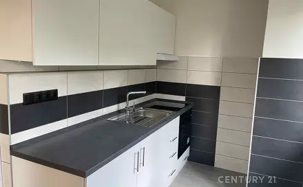 Pronájem bytu 1+1 38 m², Gajdošova, Ostrava - Moravská Ostrava
