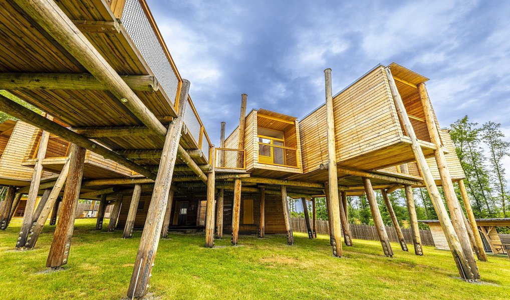 Prodej komerčního objektu (jiného typu) 818 m², Štoky – náhled fotky 8