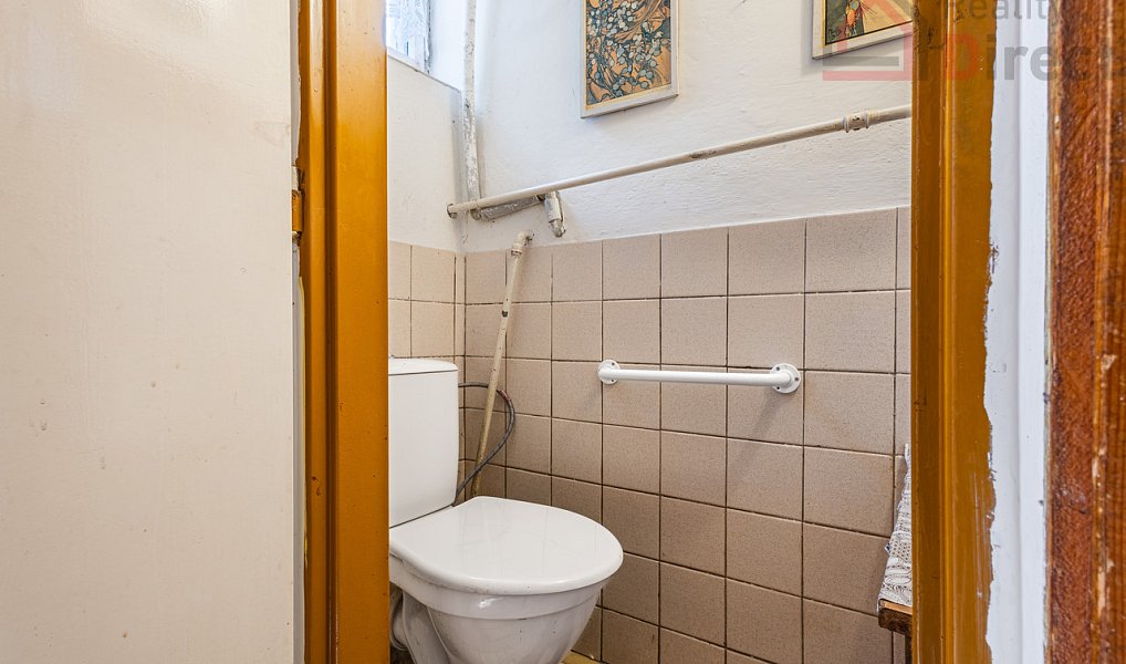 Prodej domu 169 m² s pozemkem 246 m², Bělá pod Bezdězem – náhled fotky 19