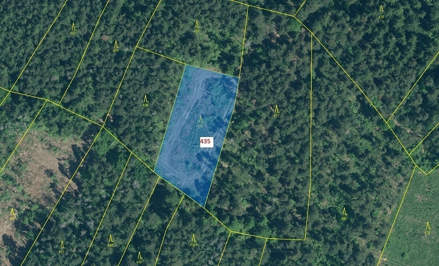 Dražba lesa 2 482 m² – pohled 2