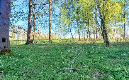 Prodej stavebního pozemku 2 966 m², Stará Voda, okres Cheb