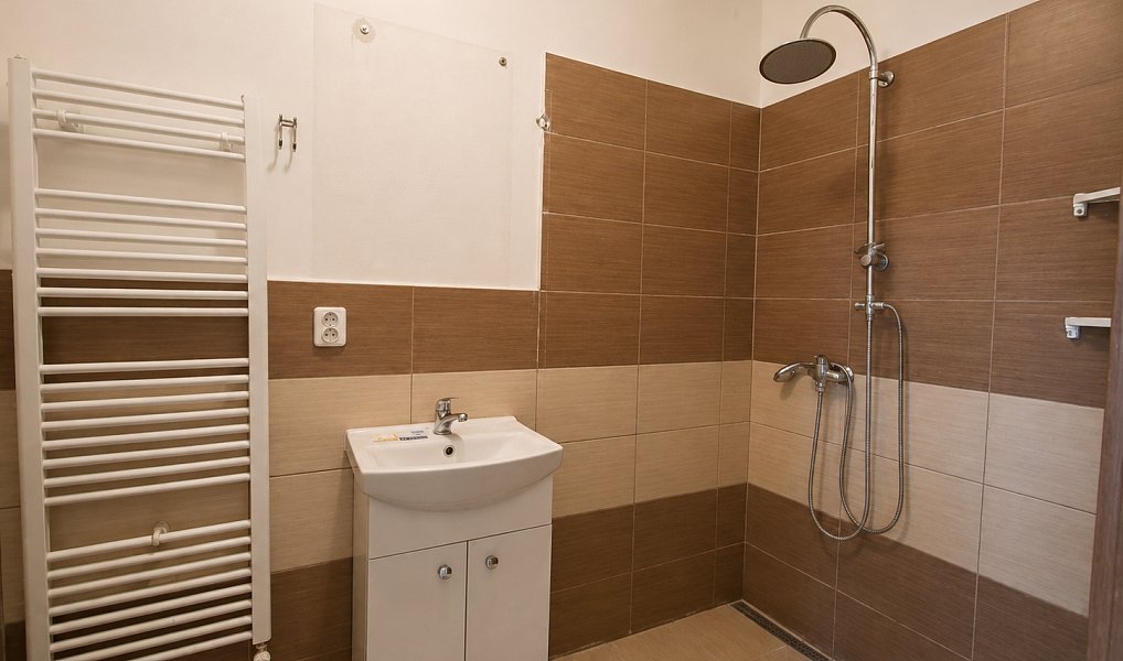 Prodej domu 260 m² s pozemkem 431 m², Němčice nad Hanou – náhled fotky 19