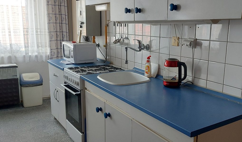 Prodej bytu 1+1 43 m², Smetanova, Louny