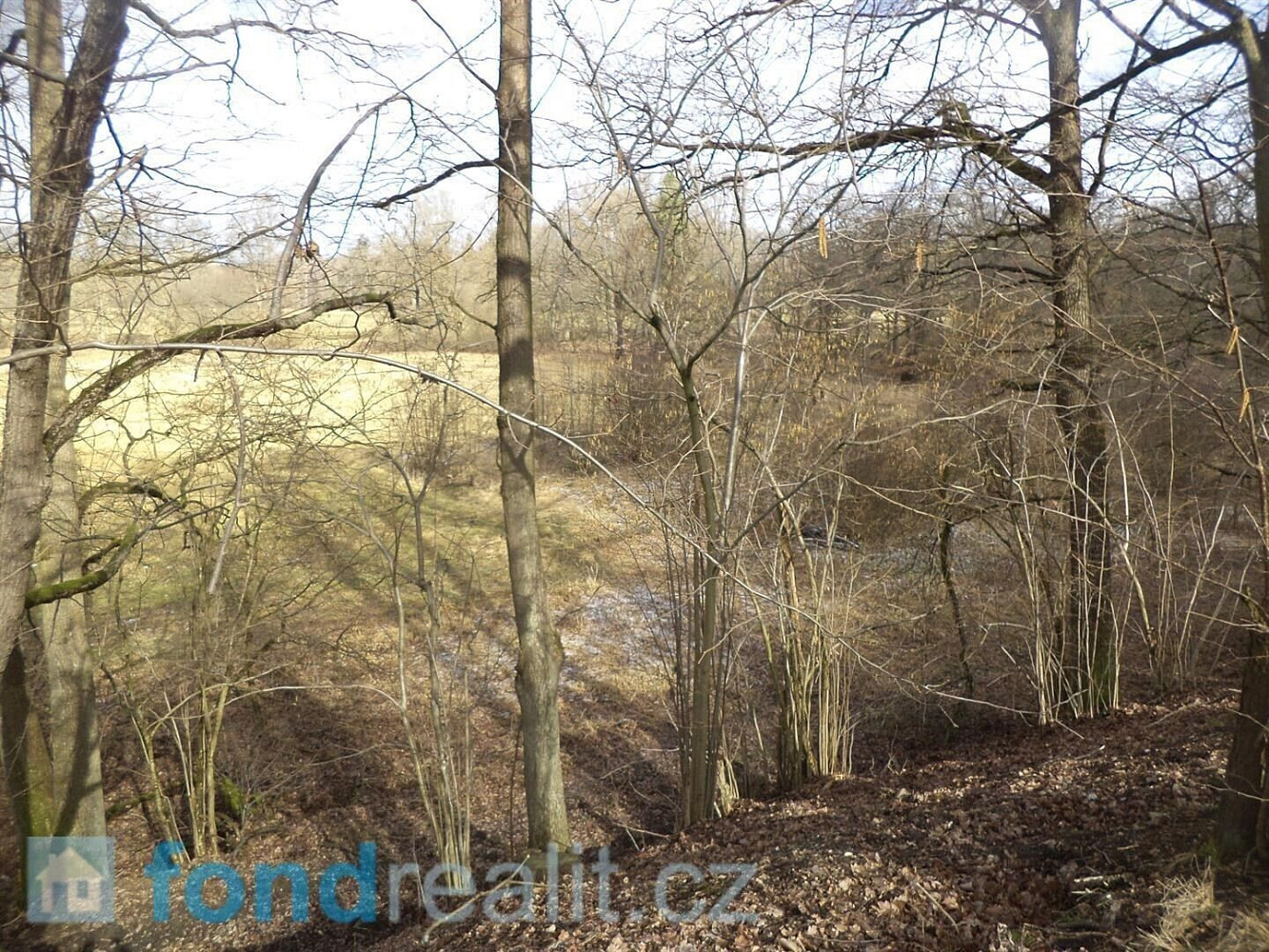 Prodej pozemku 15 643 m² – fotografie 5