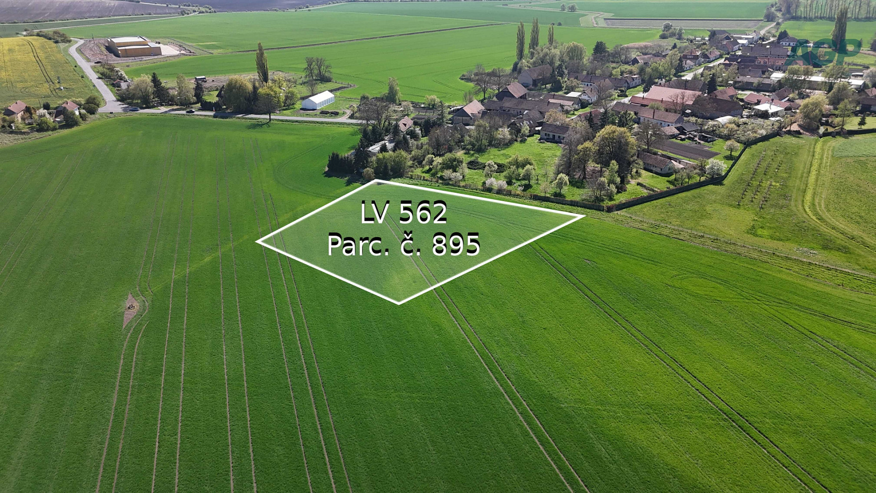 Prodej pole 3 653 m² – fotografie 3