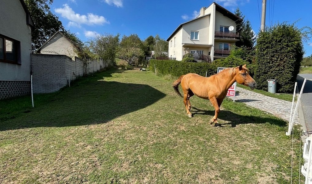 Prodej stavebního pozemku 1 279 m², Pašovice – náhled fotky 9