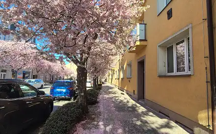 Prodej bytu 2+1 56 m²