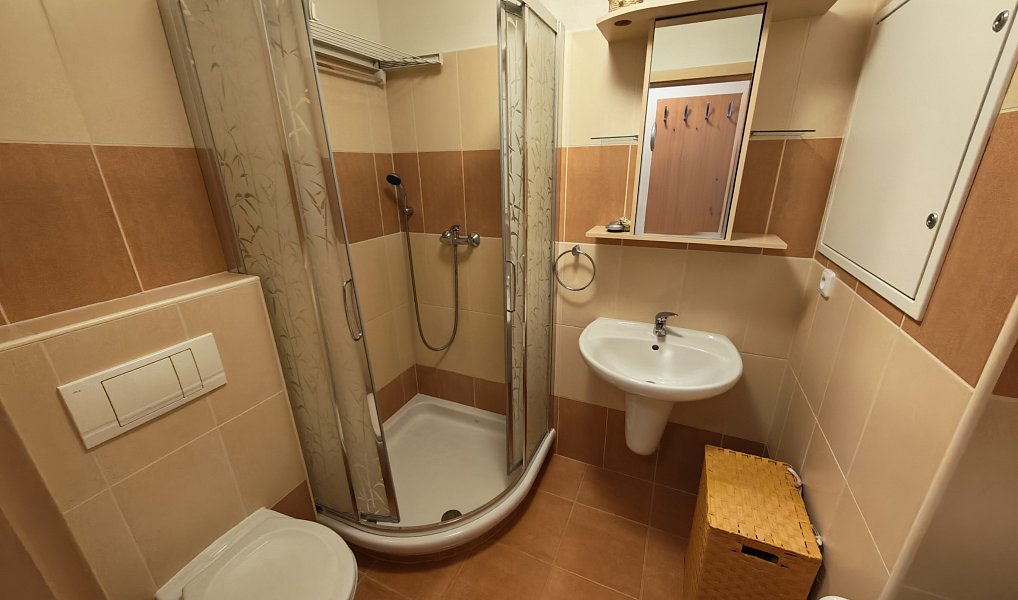Prodej bytu 1+kk 36 m², Zlín – náhled fotky 5