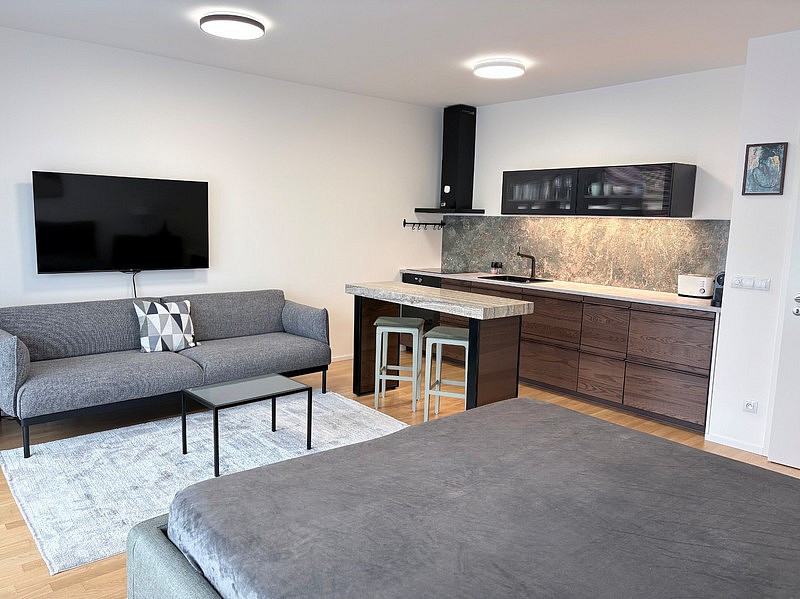 Pronájem bytu 1+kk 45 m²