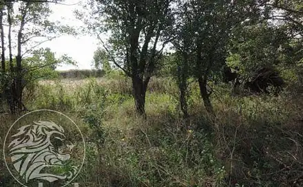 Dražba pozemku 11 062 m², Čisovice, okres Praha-západ