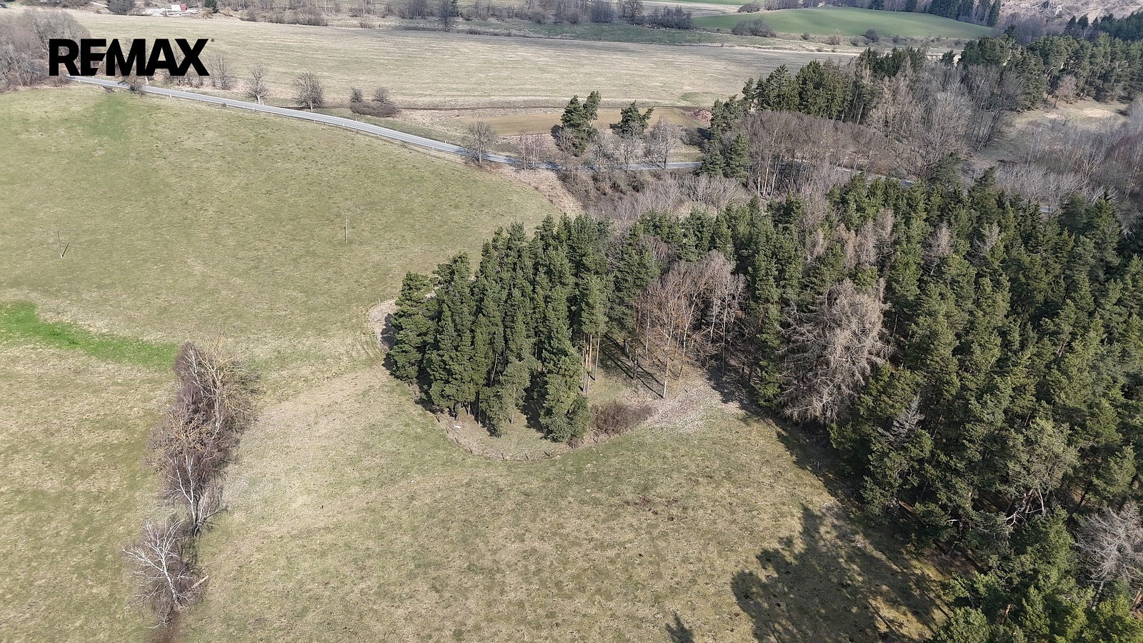 Prodej pole 19 771 m² — photo 4