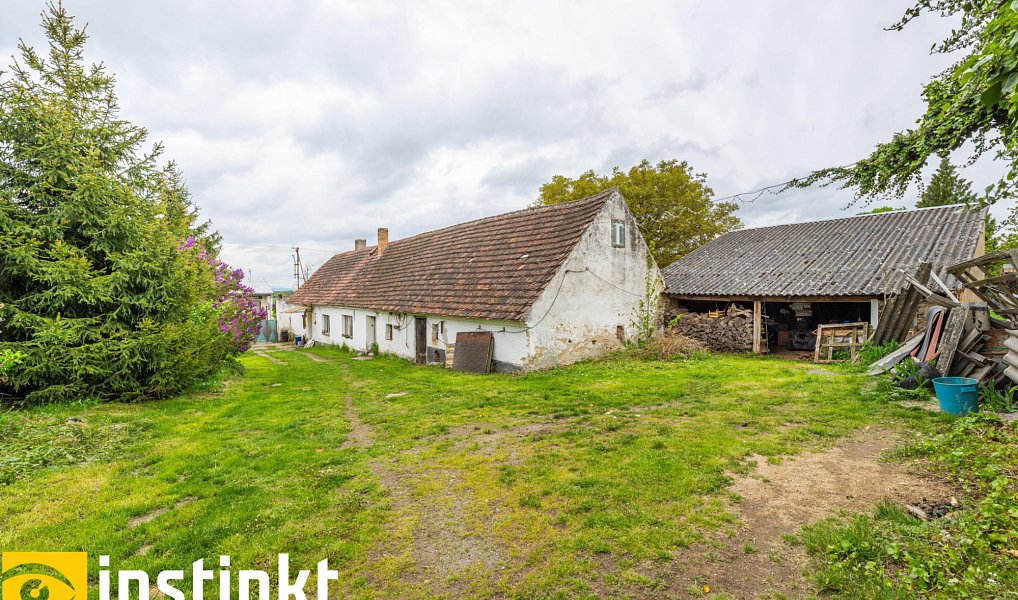 Prodej domu 192 m² s pozemkem 3 008 m², Předotice – náhled fotky 12