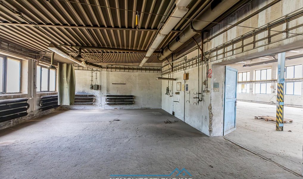 Prodej výrobních prostor 12 000 m², Hrušovany nad Jevišovkou – náhled fotky 24