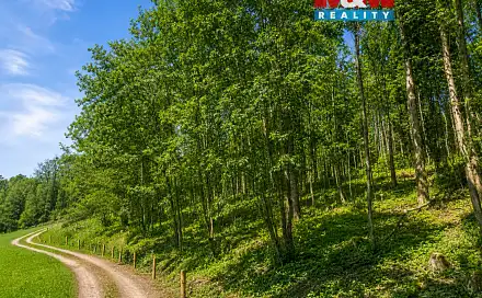 Prodej lesa 1 939 m², Semily