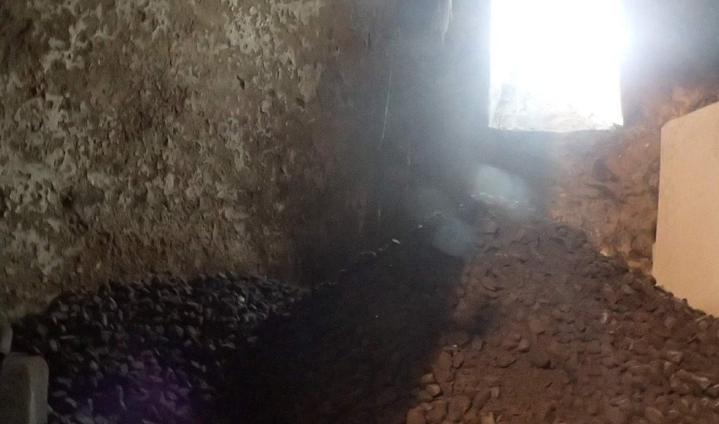 Prodej domu 130 m² s pozemkem 737 m², Votice – náhled fotky 26